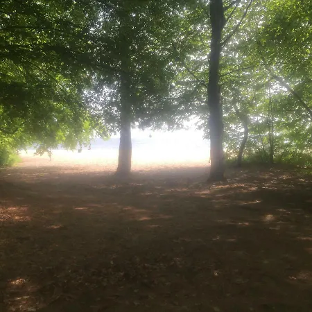 Апартаменты Elegance Gdynia