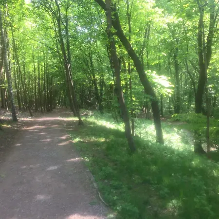 Elegance Gdynia * Сопот