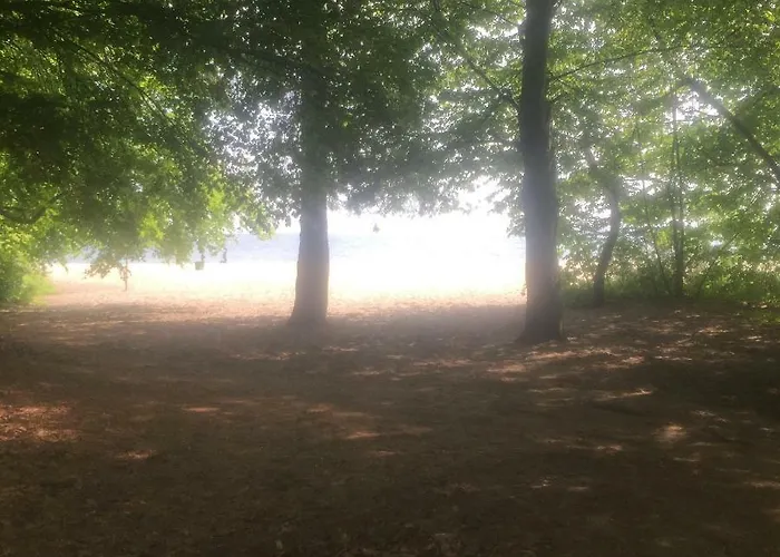 Apartament Elegance Gdynia