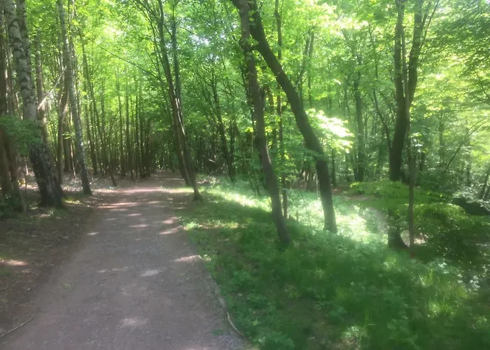 Elegance Gdynia * Sopot